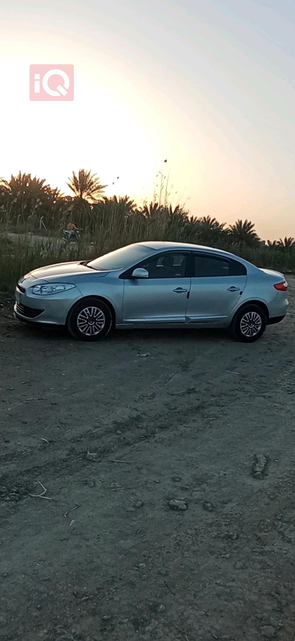 رينو فلوينس